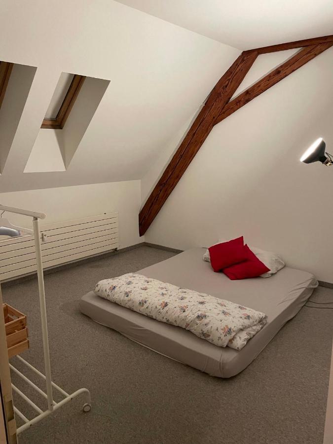 Central Room With Amazing View St. Gallen Ngoại thất bức ảnh